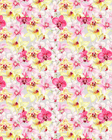 Orchid Romance Wallpaper - Grey/Pink