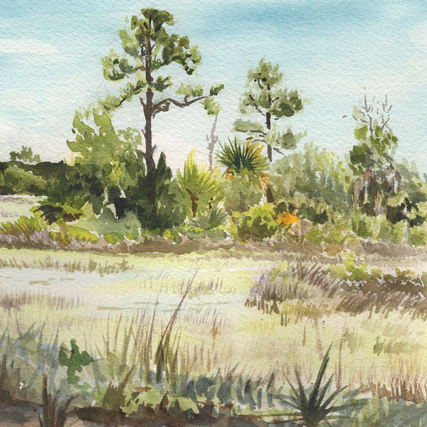 Palmetto Bluff - Fine Art Print