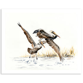 Pelicans Ascending - Fine Art Print