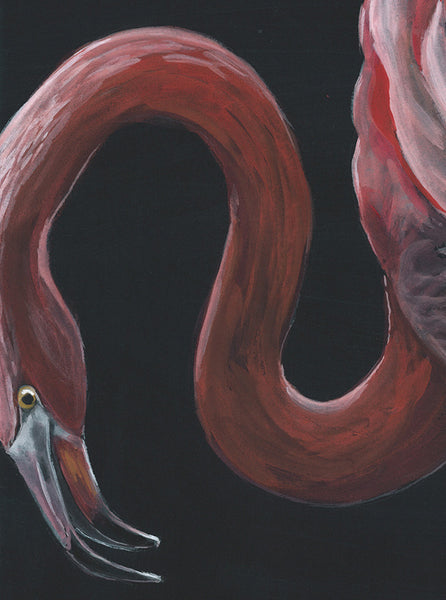 Flamingo 2 - Fine Art Print