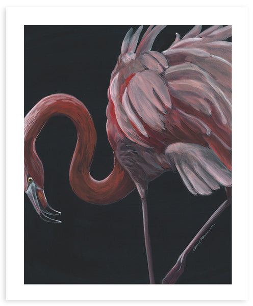 Flamingo 2 - Fine Art Print