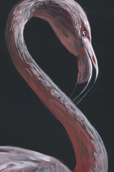 Flamingo 1 - Fine Art Print