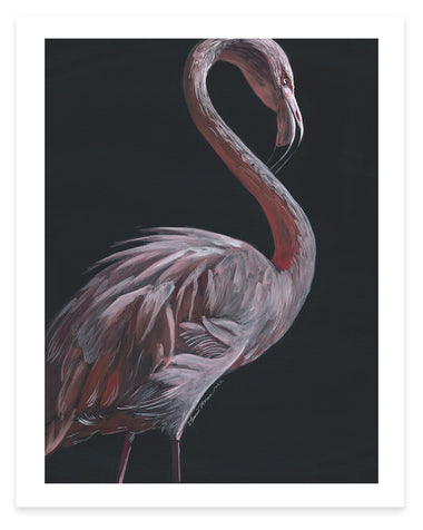 Flamingo 1 - Fine Art Print