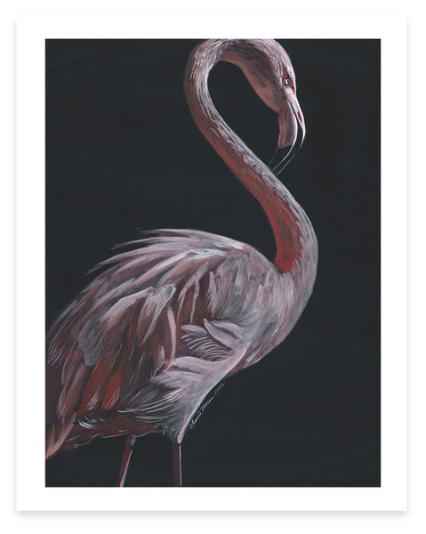 Flamingo 1 - Fine Art Print