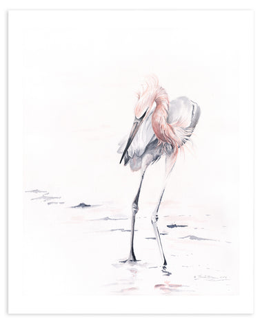 Reddish Egret - Fine Art Print