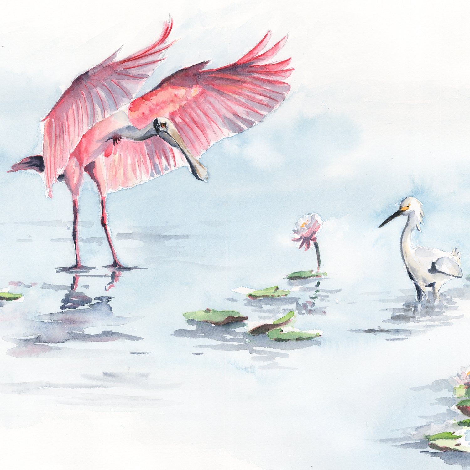 Roseate Spoonbill with Egret | Fine Art Print | Watercolor | Annie Moran