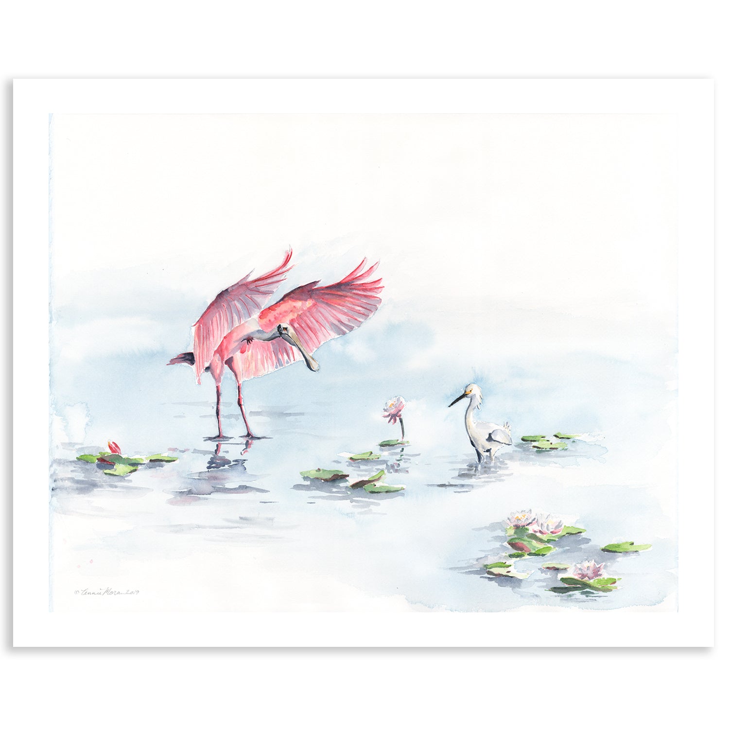 Roseate Spoonbill with Egret | Fine Art Print | Watercolor | Annie Moran