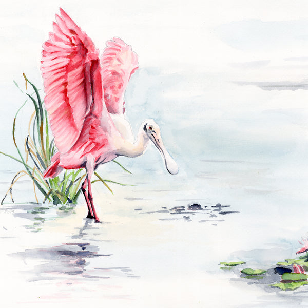 Roseate Spoonbill with Water Lilies - Fine Art Print