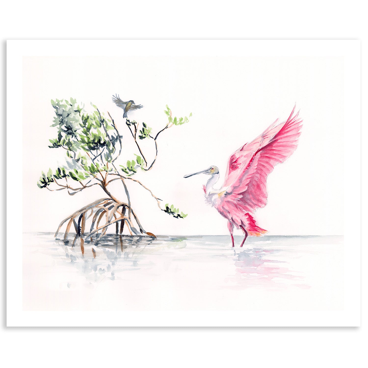 Roseate Spoonbill with Mangrove | Fine Art Print | Watercolor | Annie Moran