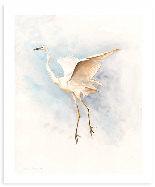 Soaring Egret 1 - Fine Art Print